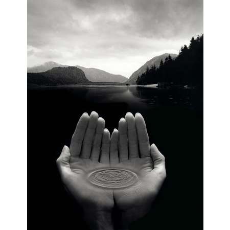 Untitled Hands with Puddle