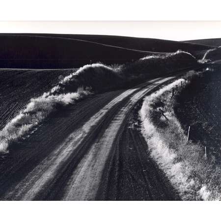 Dirt Road Through Plowed Fields