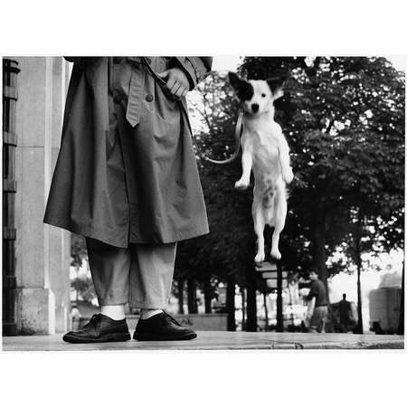 Paris, France (Dog Jumping)