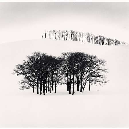 Hilltop Trees, Study 3, Teshikaga, Hokkaido