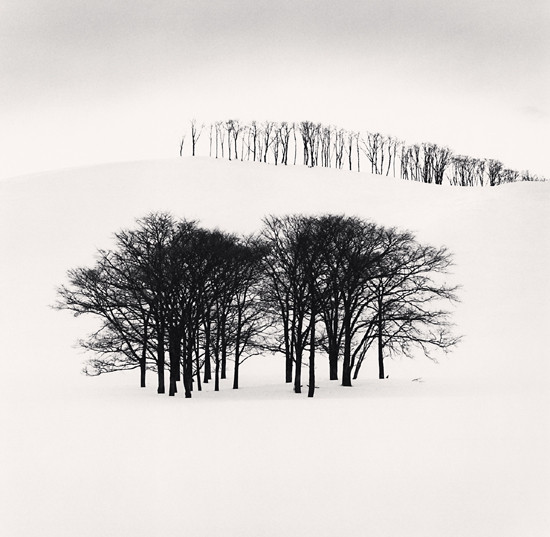 Hilltop Trees, Study 3, Teshikaga, Hokkaido