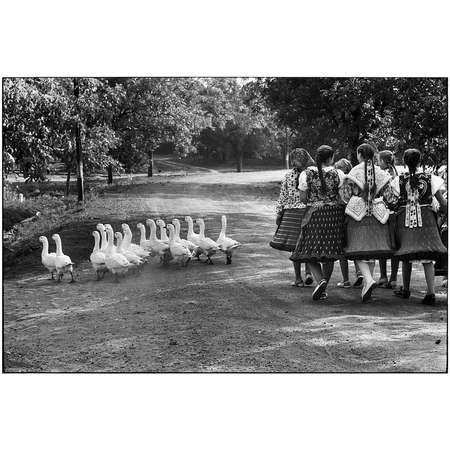 Hungary, 1964