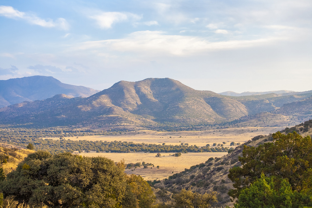 Davis Mountains