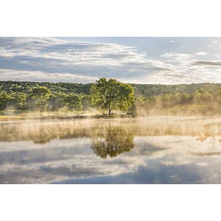 Lake Fog