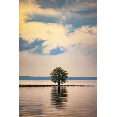 Toledo Bend