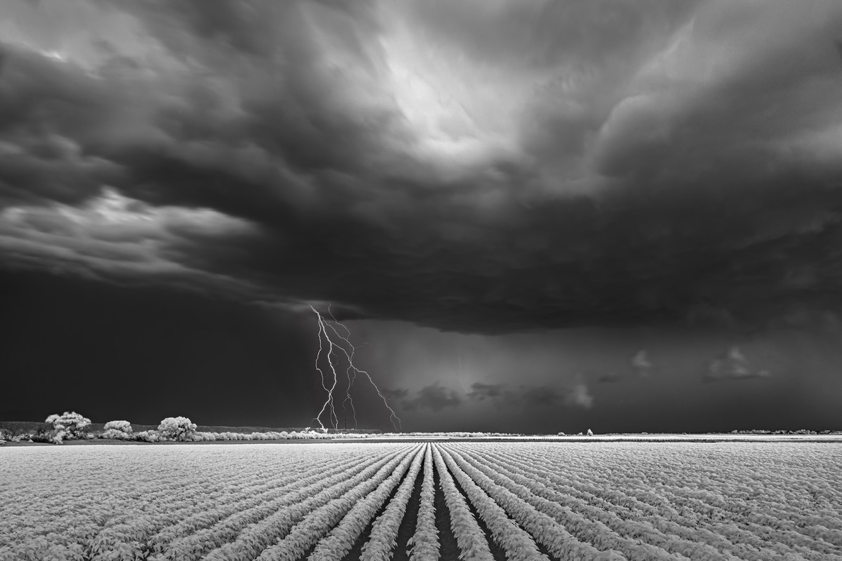 Lightning/Cotton Field