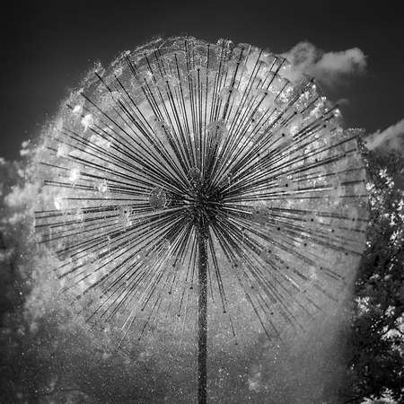 Genesis III - Gus Wortham Memorial Fountain