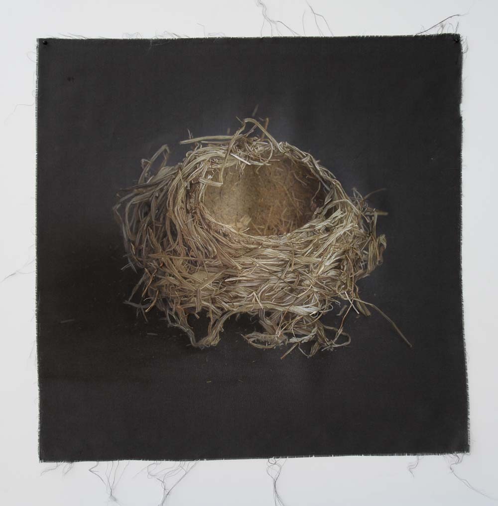 Nest 13