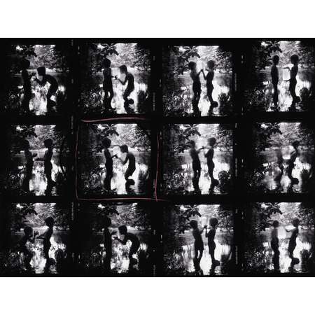 Fireflies Contact Sheet