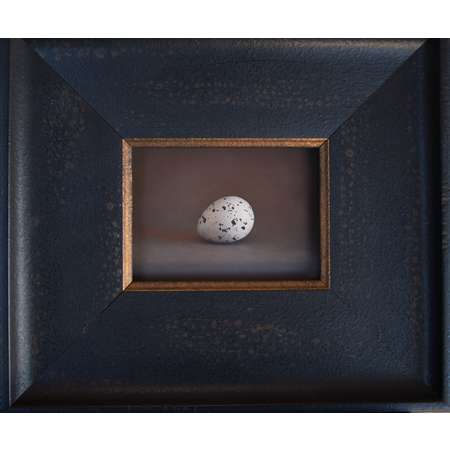 quail egg 50