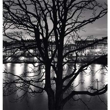 Tree, Seine, Quai Voltaire, Paris, France