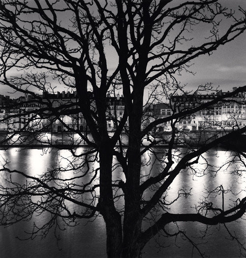 Tree, Seine, Quai Voltaire, Paris, France