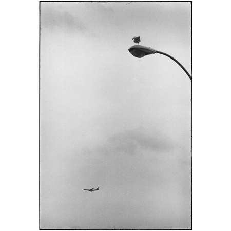 Coney Island, New York, 1975