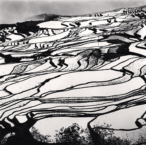 Yuanyang, Study 2, Yunnan