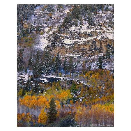 Autumn Snow, near South Lake, Eastern Sierra