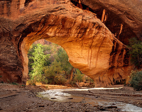 Coyote Natural Bridge, Utah