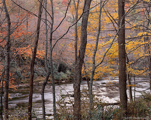 Creekside, North Carolina, Autumn