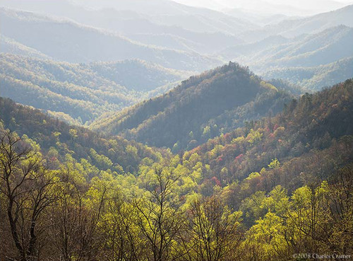 First Light, Hillside, North Carolina