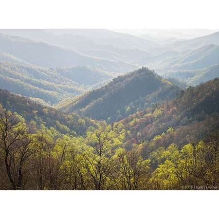 First Light, Hillside, North Carolina