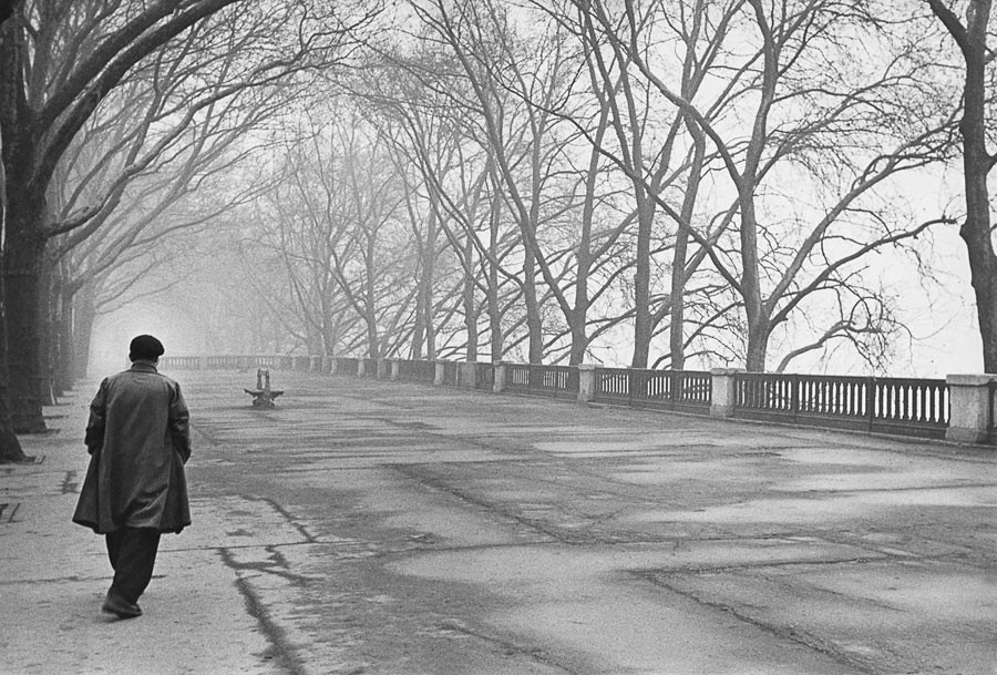 Quai de Bercy, Paris, 1953