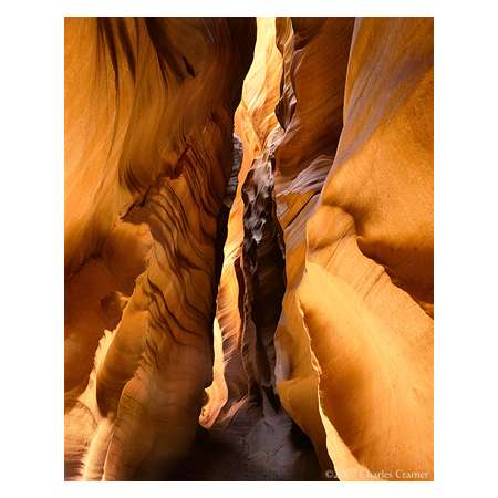 Noon Light, Narrow Canyon, Arizona