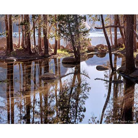 Spring Pool, First Light, Tenaya Lake, Yosemite