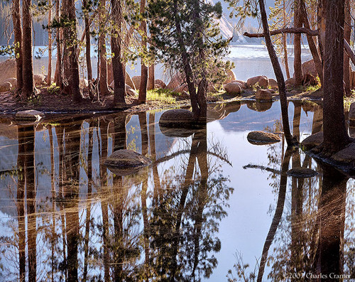 Spring Pool, First Light, Tenaya Lake, Yosemite