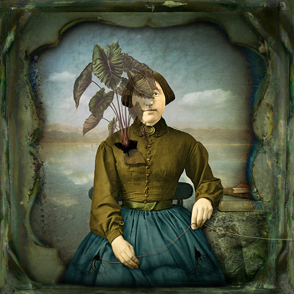 The Botanist