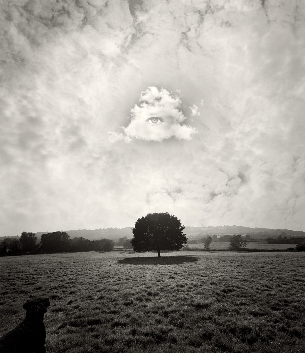 Untitled (Tree with Eye and Dog)