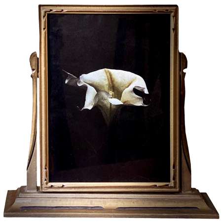 Datura Framed