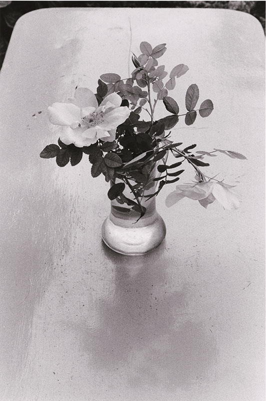 Édouard Boubat, Fleurs des Champs, Forêt de Fontainebleau, Silver print, 14 x 9-3/8 in, 1980/1981