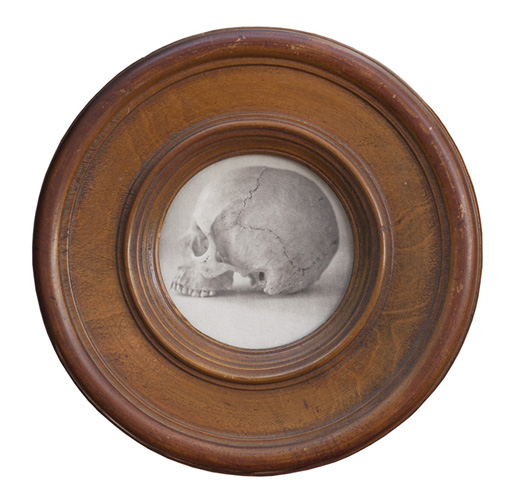 Jefferson Hayman Skull Still Life