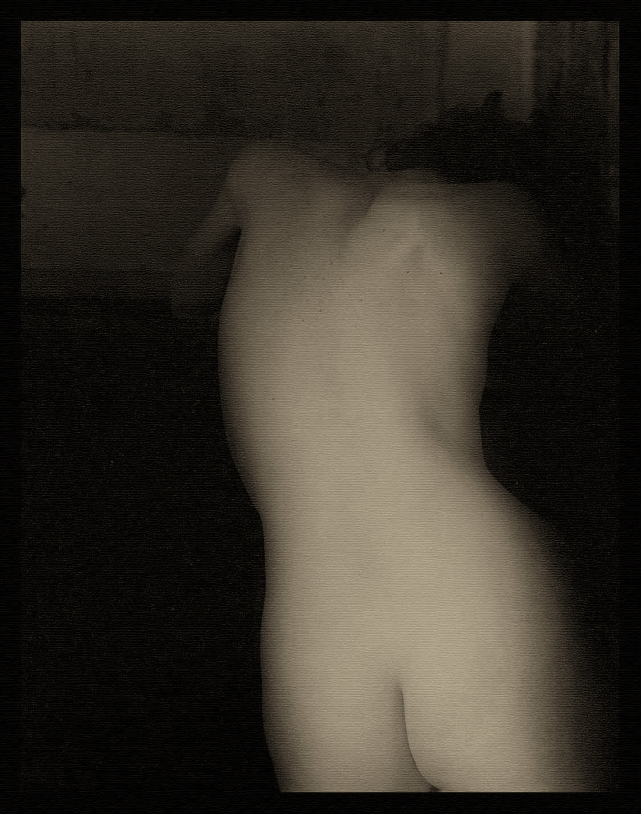 Woman's Back, Josephine Sacabo