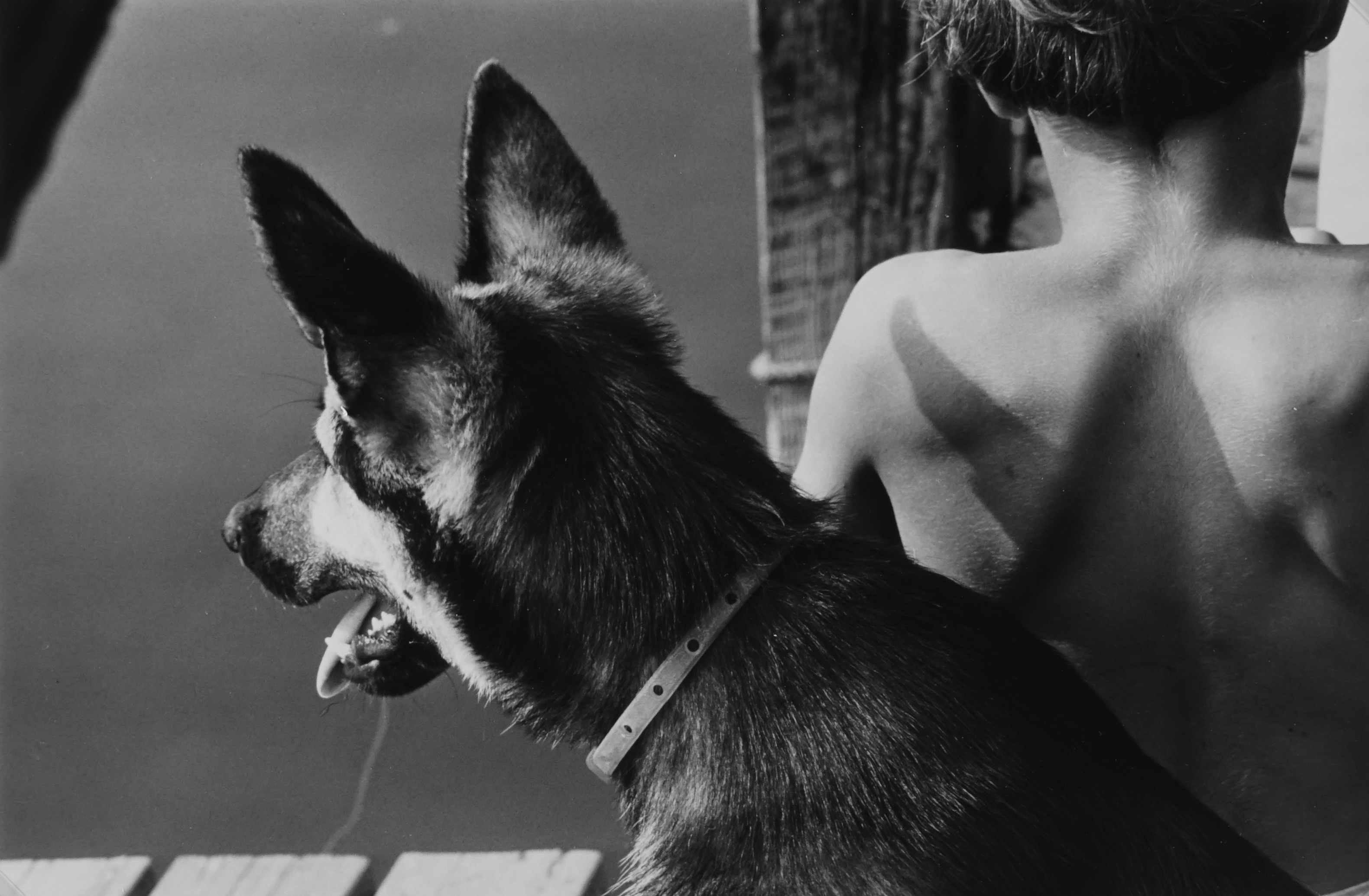 Andre Kertesz, Howard Beach