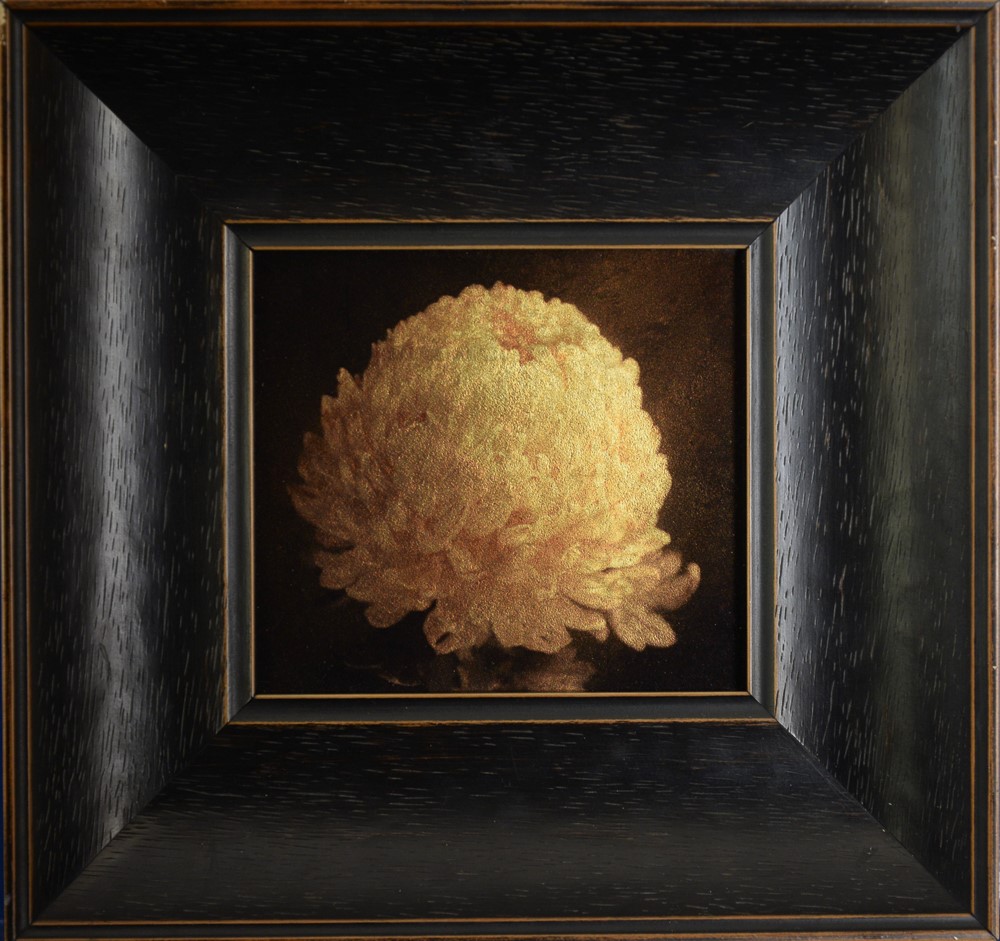 Kate Breakey, Chrysantheum II