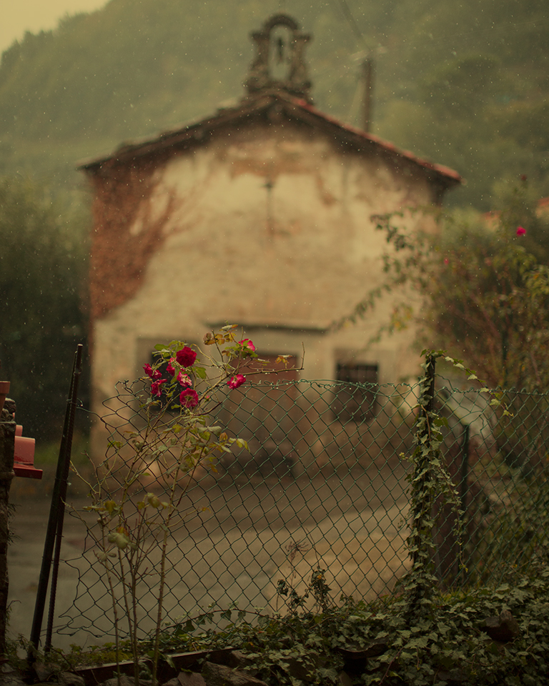 Keith Carter Morning Rain