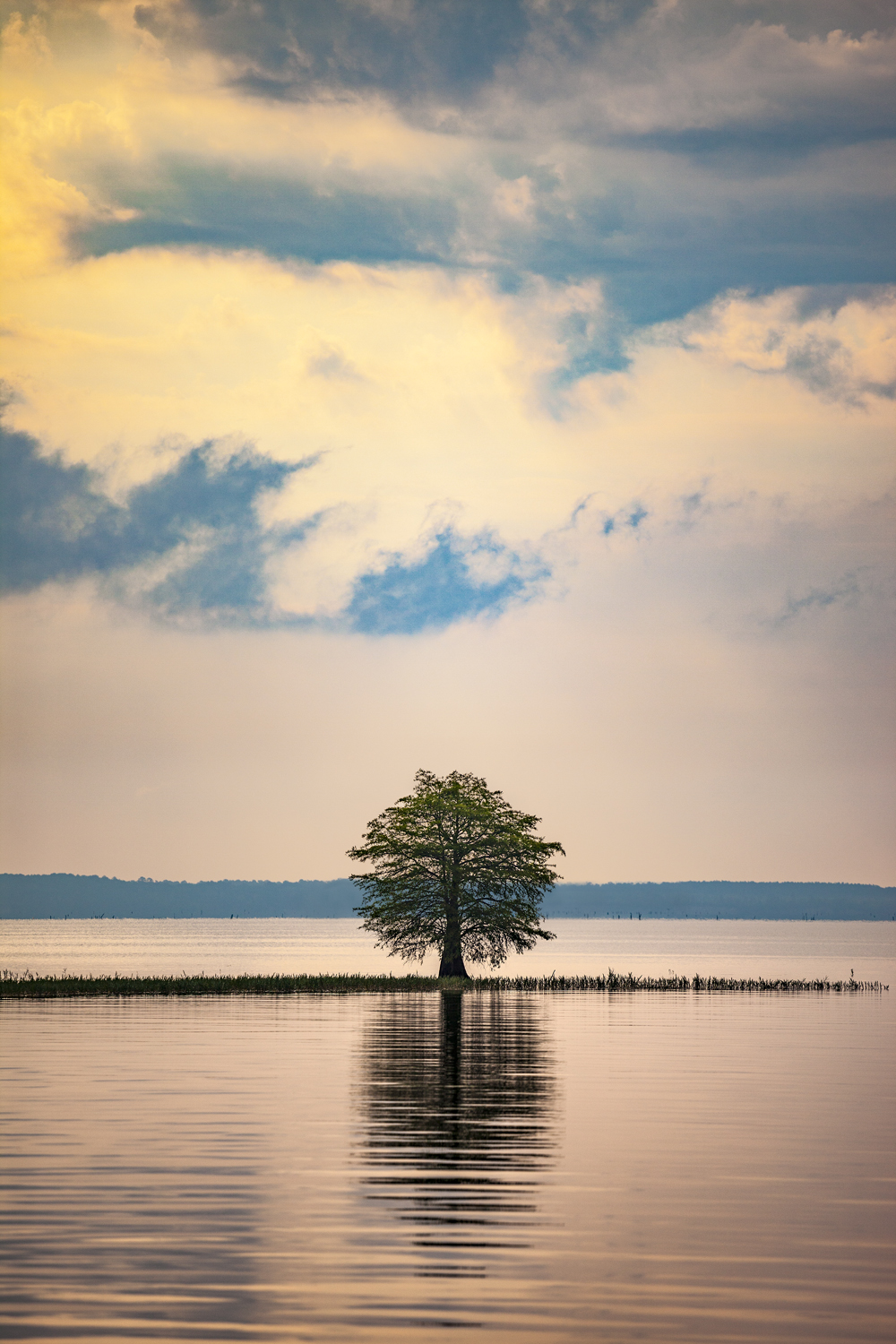 Kenny Braun, Toledo Bend, 2012, Catherine Couturier Gallery