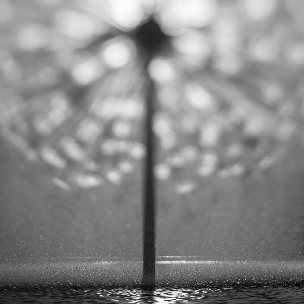 Genesis VIII - Gus Wortham Memorial Fountain_Houston, Texas, 2015