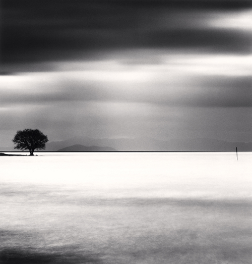 Michael Kenna Biwa Lake Tree Study 5 Omi Honshu Japan 2007