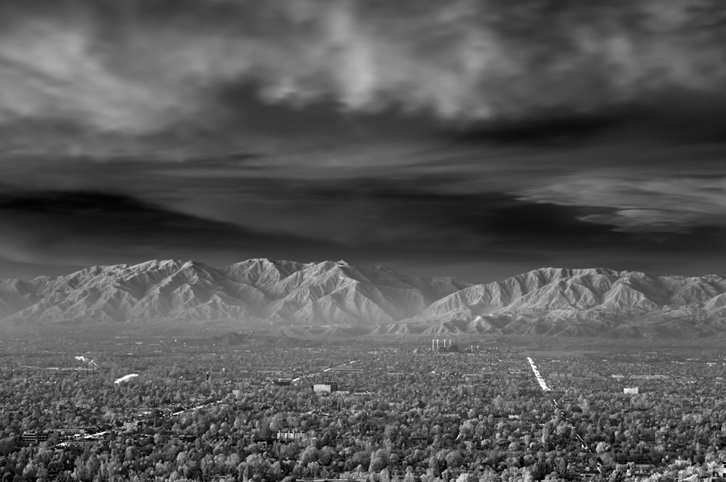 Mitch Dobrowner, City Lights